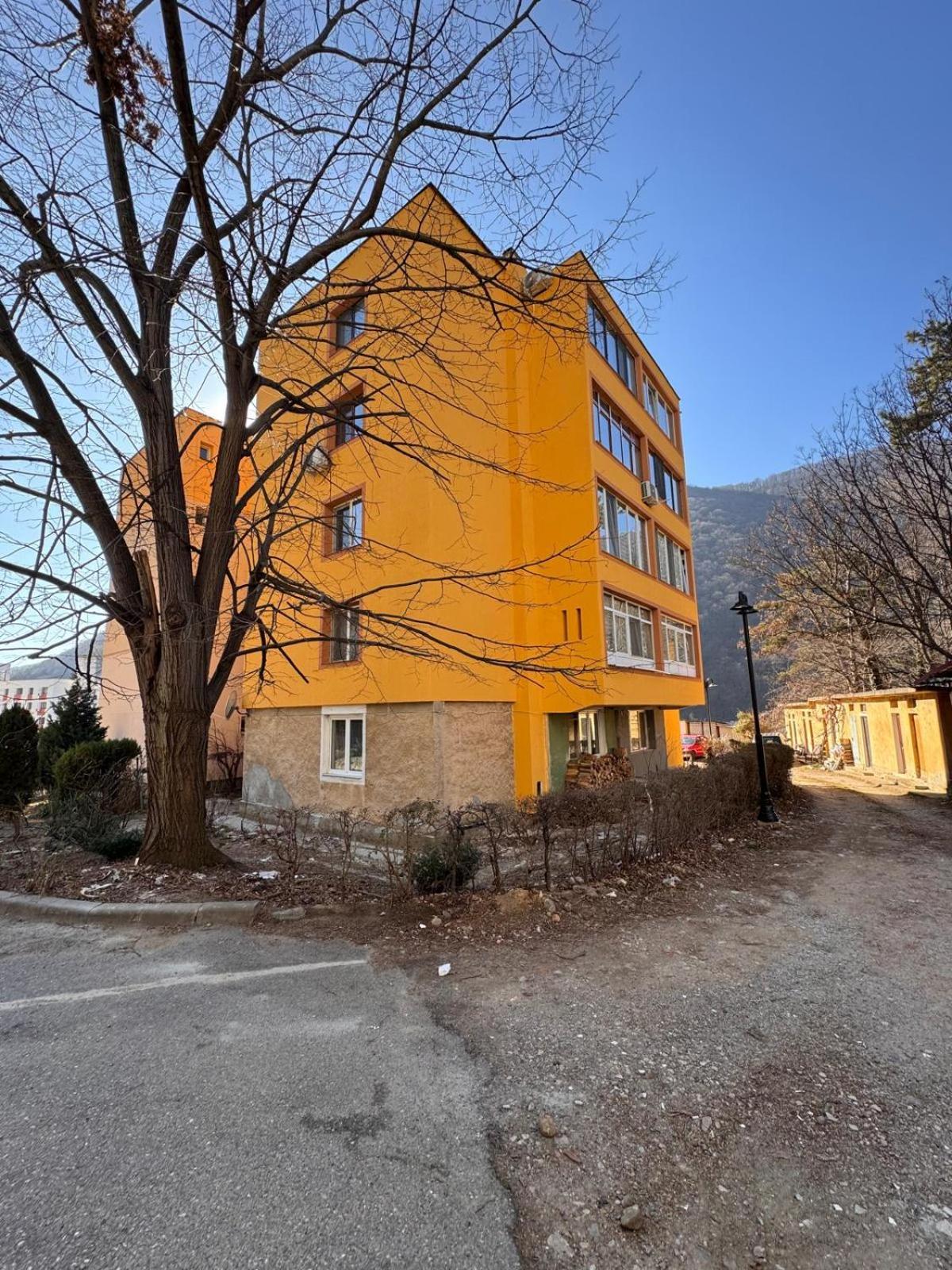Linen Tree Apartment Băile Herculane Dış mekan fotoğraf