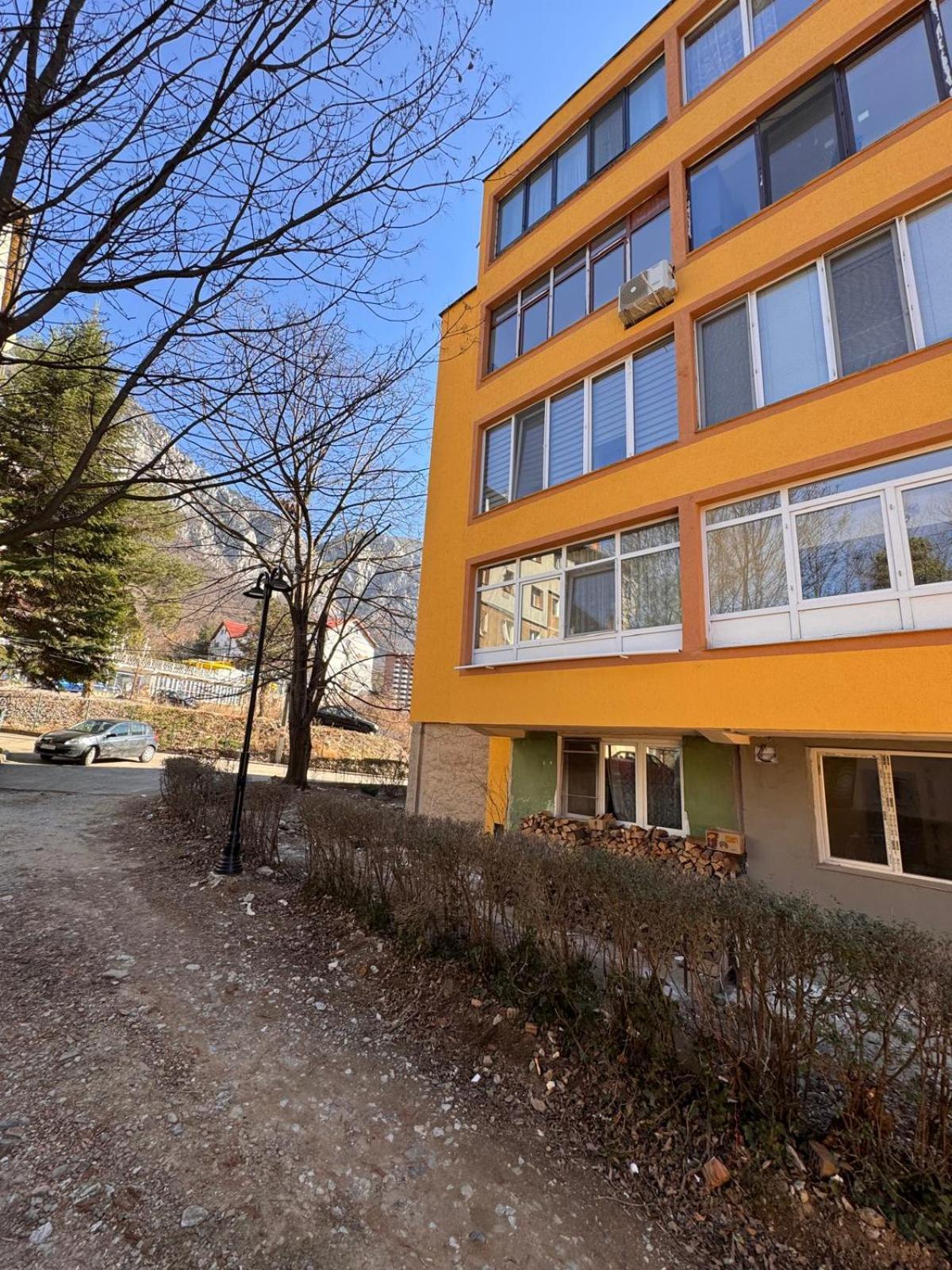 Linen Tree Apartment Băile Herculane Dış mekan fotoğraf